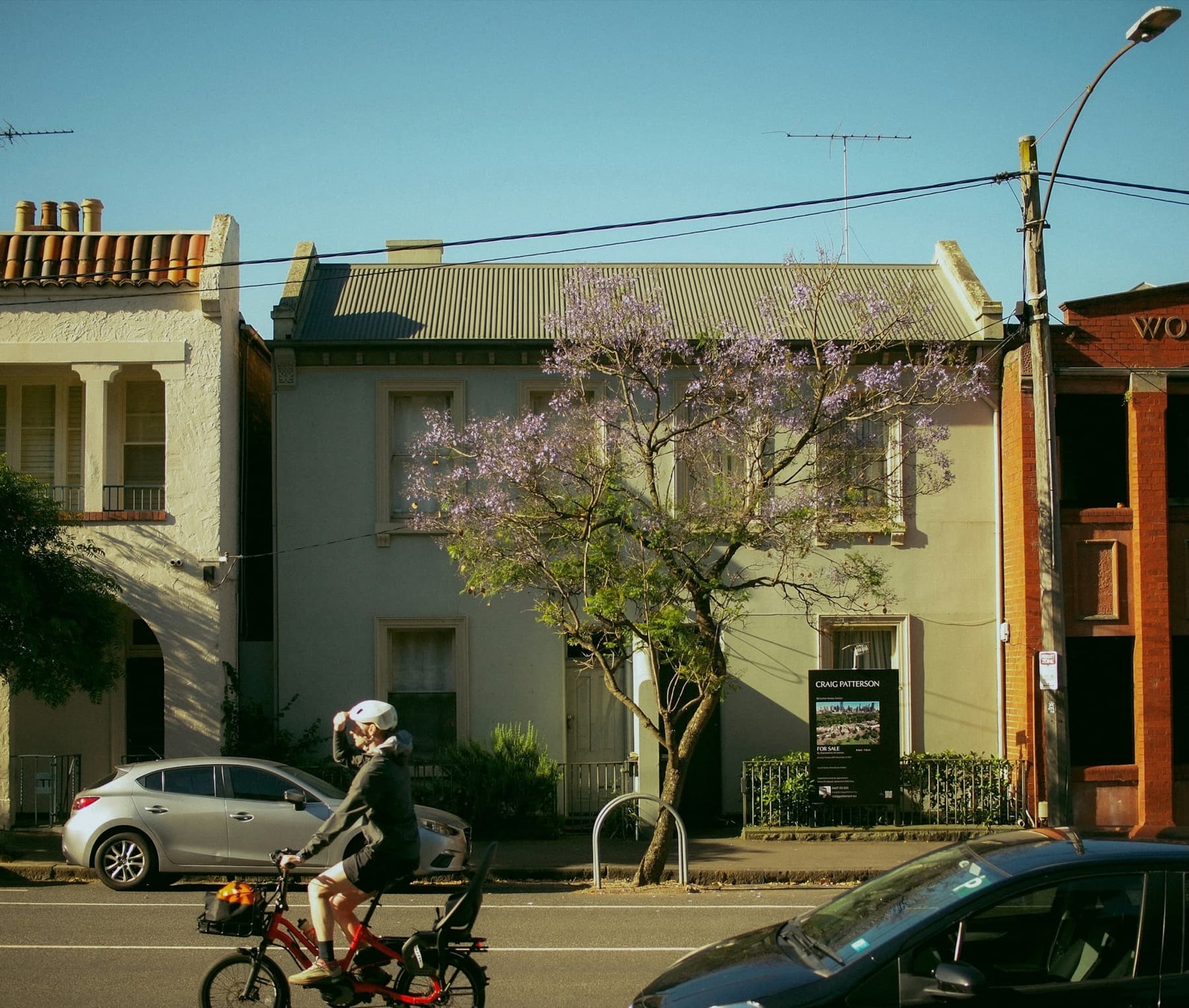A two-storey terrace house behind a jacaranda